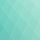 Altius Shirt Ladies - Mint-Anthracite