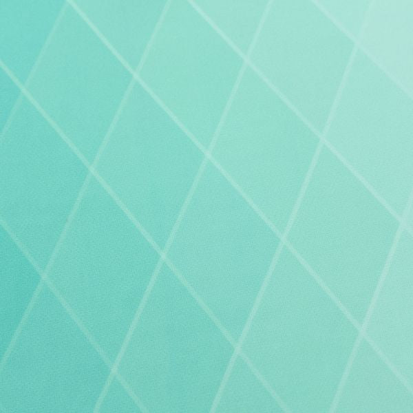Altius Shirt Ladies - Mint-Anthracite