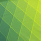 Altius Shirt Ladies - Lime-Dark Denim