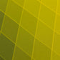 Altius Shirt Ladies - Yellow-Black