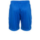 Focus Shorts II - Royal
