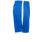 Focus Shorts II - Royal-White