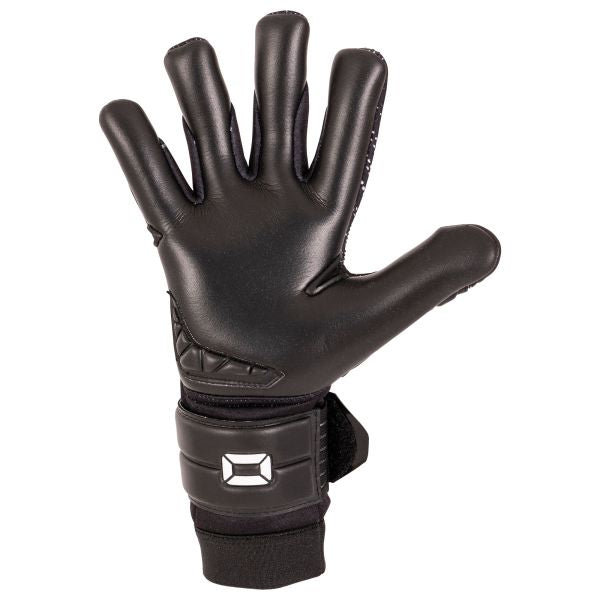Hardground RFH VI Goalkeeper Gloves - Black