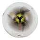 Excellent Football - White-Gold
