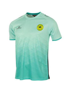Marston Green FC Senior Away Shirt